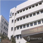 중국인,공무원,단속,리씨,피해자,행세