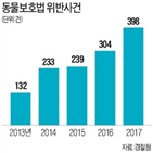 사건,동물학대,고양이,가해자,형량,대한