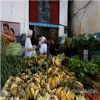 쿠바,경제,가격,가격통제