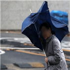태풍,프란시스코,부산,남해안