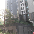 정부,우려,정책,시장,강행