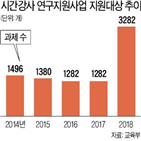 지원,시간강사,연구비,교육부,추가,올해