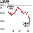 실적,cj제일제당,영업이익,매출,악화,하락