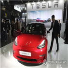 테슬라,모델3,국내