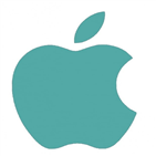 애플,미국,상승,출하량