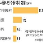 주중,게임,여가,서울시민