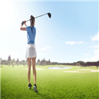 투어,대회,선수,출전,총상금