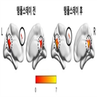 템플스테이,연구,프로그램,스트레스