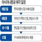 실사,매각,아시아나항공,예비입찰,기업,금호산업과