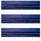 티저,무드,항해