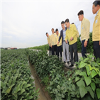 태풍,장관,피해