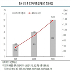 중국,업체,배터리,전기차,국내