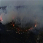 산불,브라질