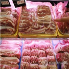 돼지고기,가격,돼지,살처분,상승