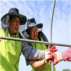 마을,피해,태풍