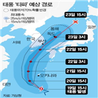 타파,제주,예상,부산,최대,해상