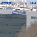 투자,디스플레이,삼성,시장