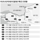 돼지,석모도,농장,이날,경기