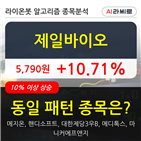 제일바이오,주가,상승