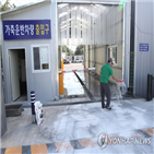 일시이동중지명령,아프리카돼지열병