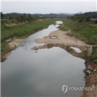 바이러스,조사,환경과학원,임진강