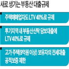 규제,주택,대출,전세대출,투기지역