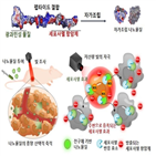 레이저,항암제,약효,종양