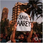 뭄바이,레이,지역,환경운동가,콜로니,벌목