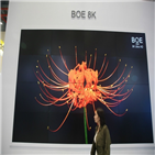 패널,한국,업체,시장,보고서,중국