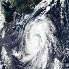 태풍,일본,하기비스,기상청,강한,세력,공항,대해,피해