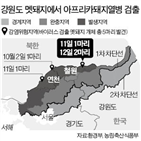 멧돼지,DMZ,바이러스,폐사체,남쪽,검출