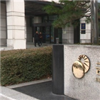 보험사,컨설팅,금감원,지급여력제도