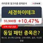 세경하이테크,주가,보이