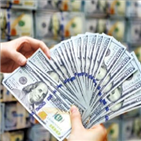 달러,환율,경제,한국,수준,글로벌