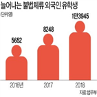 유학생,외국인,대학,불법체류,지난해,불법체류자