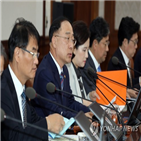 집행,지자체,부총리,예산,국회,정부