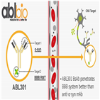 이중항체,로슈,에이비엘바이오,타깃,셔틀
