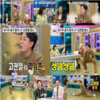 고관절,댄스,라디오스타