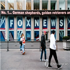 폭스뉴스,트럼프,대통령,팩트,사직