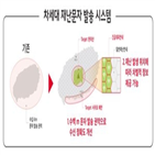 재난문자,SK텔레콤,단위,발송