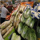 포장김치,김장,올해,선택