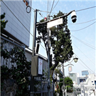 범죄,보안등,절도,설치