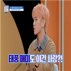 차트,러브스토리,근거