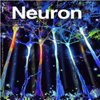 신경세포,전기,신호,돌기,연구