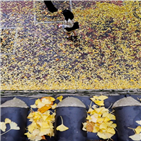 아침,내륙,전국