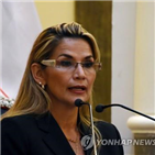 대통령,아녜스,모랄레스,볼리비아,임시,취임