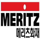 메리츠화재,대비