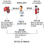 지니너스,공급