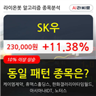SK우,시각