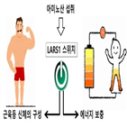 에너지,효소,스위치,아미노산,수준